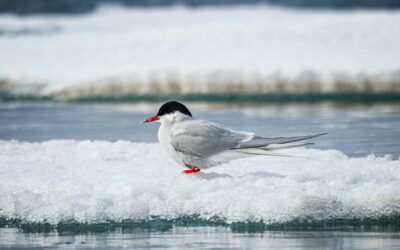 その他 GREENLAND IMG_0268-scaled.jpeg