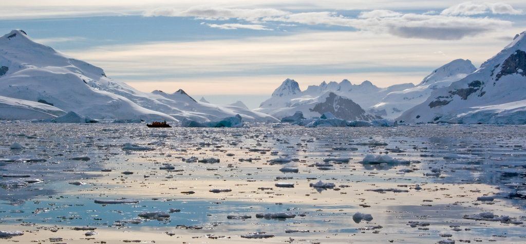 Brandon Harvey Photography All Rights Reserved 1879 Counting penguins in Antarctica