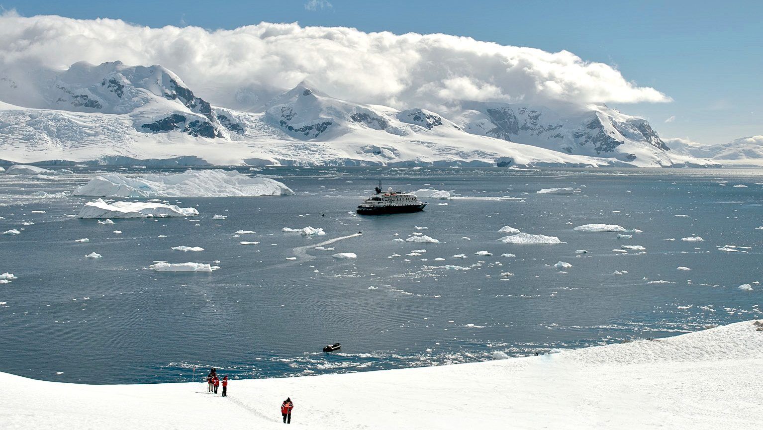 NekoHarbour Counting penguins in Antarctica